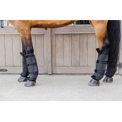 Achterste stalgamaschen PROtect Classic Kentucky Zwart