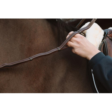 Lederen teugels met Working-handgrepen van Dy'on Bruin