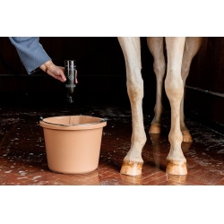 Paarse Shampoo met Amandel Grooming Deluxe van Kentucky Paarse Shampoo met Amandel Grooming Deluxe van Kentucky