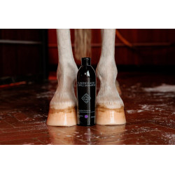Paarse Shampoo met Amandel Grooming Deluxe van Kentucky Paarse Shampoo met Amandel Grooming Deluxe van Kentucky