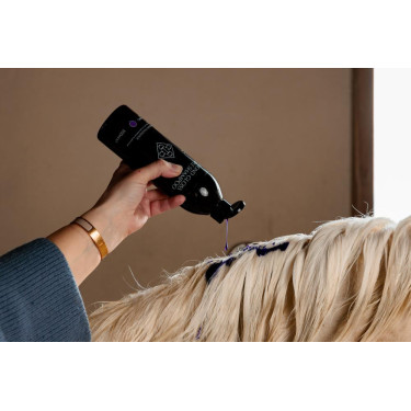 Paarse Shampoo met Amandel Grooming Deluxe van Kentucky Paarse Shampoo met Amandel Grooming Deluxe van Kentucky