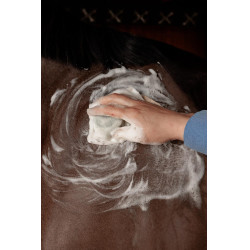 Shampoing Solide Grooming Deluxe by Kentucky Amande Marron Shampoing Solide Grooming Deluxe by Kentucky Amande Marron