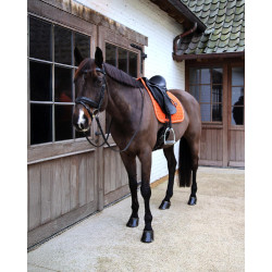 Tapis de Selle Kentucky Melange Dressage Orange