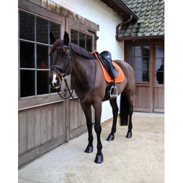 Tapis de Selle Kentucky Melange Dressage Tapis de Selle Kentucky Melange Dressage