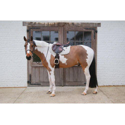 Tapis de Selle Kentucky Melange Jumping Beige