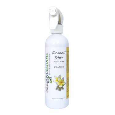 Demel'Star Alliantie Paardensport