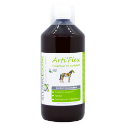 Arti'Flex Alliantie Paard