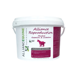 Alliantie Voortplanting Alliantie Paardensport