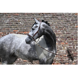 Natural'Comfort Natural'Innov Natural'Comfort Natural'Innov