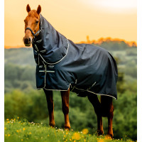 Couverture Horseware Amigo Ripstop 900D Plus Poney Turnout 200g Noir / bleu classique