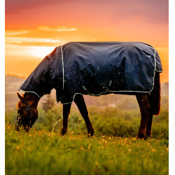 Horseware Amigo Ripstop 900D Plus Poney Turnout 100g deken Marine witney Marineblauw Horseware Amigo Ripstop 900D Plus Poney Turnout 100g deken Marine witney Marineblauw