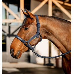 Halster en lijn Amigo Horseware Marine Marineblauw