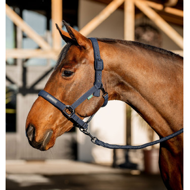 Licol et longe Amigo Horseware Licol et longe Amigo Horseware