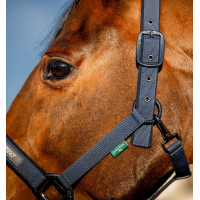 Halster en lijn Amigo Horseware Marine Marineblauw