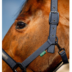 Licol et longe Amigo Horseware Marine Bleu marine Licol et longe Amigo Horseware Marine Bleu marine