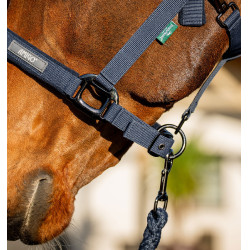 Halster en lijn Amigo Horseware Marine Marineblauw