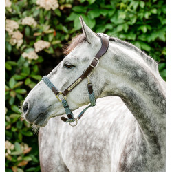 Licol Horseware tressé Signature Marron / marine / brume bleu Multi-couleurs