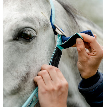 Licol Spécial Pâturage Horseware® Fieldsafe Haze bleu