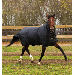 Couverture Horseware Trot Plus avec couvre-cou 350g Noir / noir / tan Couverture Horseware Trot Plus avec couvre-cou 350g Noir / noir / tan