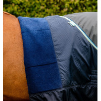 Couverture Horseware Amigo Hero Ripstop Turnout doublée polaire 50g 600D Figue / figue Bordeaux Couverture Horseware Amigo Hero Ripstop Turnout doublée polaire 50g 600D Figue / figue Bordeaux
