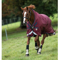 Couverture Horseware d'extérieur Rambo Wug 200g Bordeaux