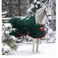 Buitendeken Horseware Rambo Original 400g Groen / rood Buitendeken Horseware Rambo Original 400g Groen / rood