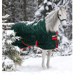 Buitendeken Horseware Rambo Original 400g Groen / rood Buitendeken Horseware Rambo Original 400g Groen / rood