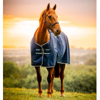 Couverture Horseware Amigo Ripstop 900D Poney Turnout 100g Noir / bleu classique Couverture Horseware Amigo Ripstop 900D Poney Turnout 100g Noir / bleu classique