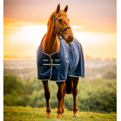 Couverture Horseware Amigo Ripstop 900D Poney Turnout 200g Marine witney Bleu marine