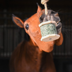 Steun Natural'Rock Natural'Innov