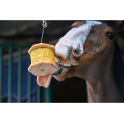 Steun Natural'Rock Natural'Innov