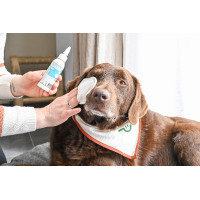 Look Happy Scoop Look Happy Scoop