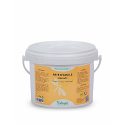 Pâte d'Argile Soulage Douleur Coup Contusion Nutragile