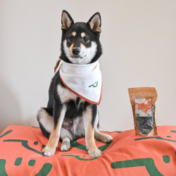 Knapperige Top Blije Schep