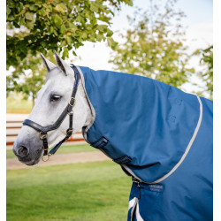 Couverture Horseware Ionic Therapy Turnout 100g Bleu imperial / argent / marine Couverture Horseware Ionic Therapy Turnout 100g Bleu imperial / argent / marine