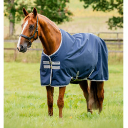 Horseware Amigo Ripstop 900D Turnout 200g deken Marine / titaangrijs Marineblauw Horseware Amigo Ripstop 900D Turnout 200g deken Marine / titaangrijs Marineblauw