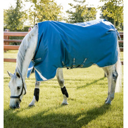 Couverture Horseware Ionic Therapy Turnout 100g Bleu imperial / argent / marine Couverture Horseware Ionic Therapy Turnout 100g Bleu imperial / argent / marine