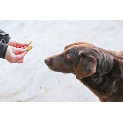 Natural'Crackers Digest Natural'Innov