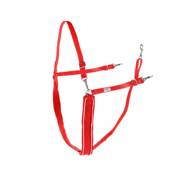Large Y-bricole Finn-Tack synthétique avec passepoil Rouge / blanc Large Y-bricole Finn-Tack synthétique avec passepoil Rouge / blanc