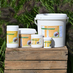 Natural'Coat Kleurloos Natural'Innov Natural'Coat Kleurloos Natural'Innov