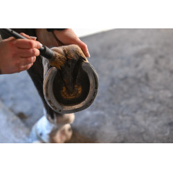 Natural'Coat Incolore Natural'Innov Natural'Coat Incolore Natural'Innov