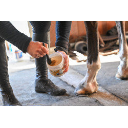 Natural'Coat Incolore Natural'Innov Natural'Coat Incolore Natural'Innov