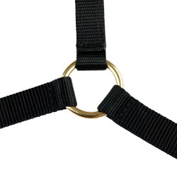Halster Yankee Finn-Tack Pro nylon met open neusriem Zwart