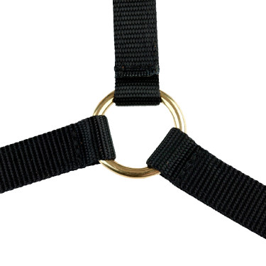 Halster Yankee Finn-Tack Pro nylon met open neusriem Zwart