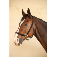 Halster Hups Harcour Zwart