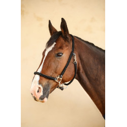 Halster Hups Harcour Zwart