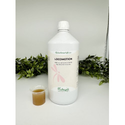 Nutragile Beweging Nutragile Beweging