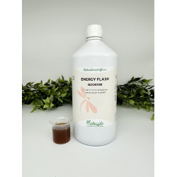 Nutragile Energy Flash-Booster
