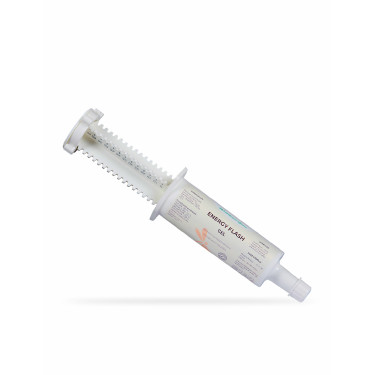 Nutragile Energy Flash-Booster