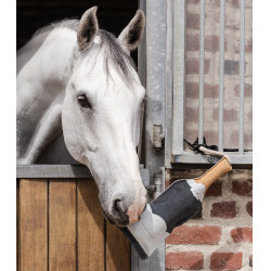 Waldhausen Speelgoed Champagnefles Fles champagne Waldhausen Speelgoed Champagnefles Fles champagne